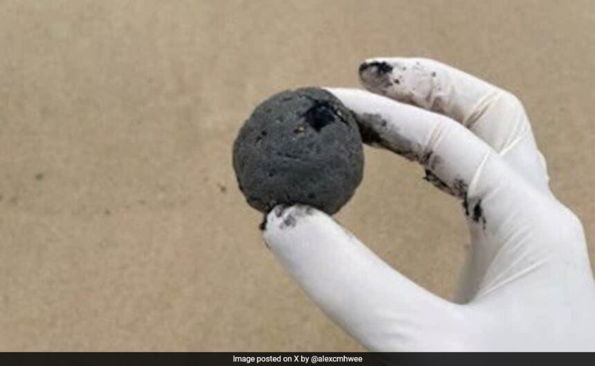 'Mysterious Black Balls' Spotted At Sydney Beaches