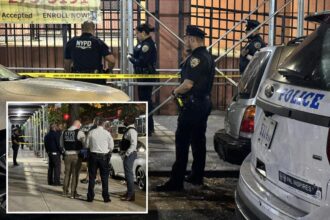 NYC girl, 15, has pelvis split by stray bullet from scooter-riding thugs: grandma