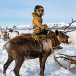 Evenki reindeer herders rely on environmental features to navigate.