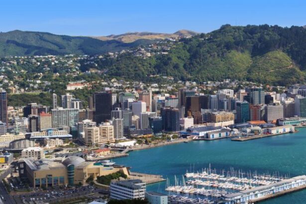 People ‘don’t feel safe’ on Wellington’s streets