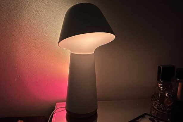 Philips Hue Twilight Smart Sleep and Wake Up Lamp review