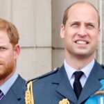 Prince William Makes Rare Comment About Prince Harry Amid Feud