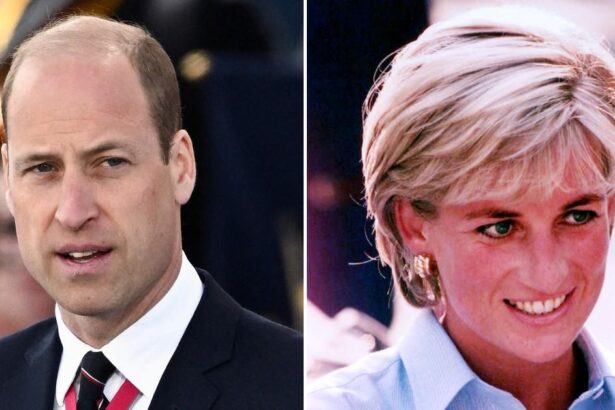 Prince William Taking 'Inspiration and Guidance' From Late Mother Diana