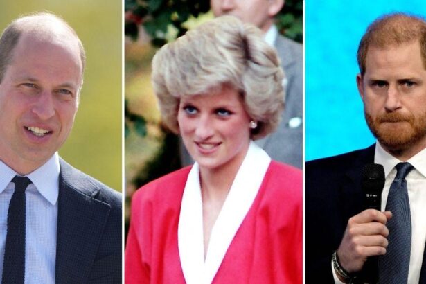 Princess Diana Would Be Devastated Over Prince Harry Snubbing Charity