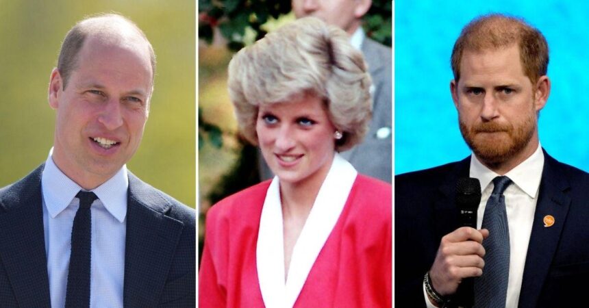 Princess Diana Would Be Devastated Over Prince Harry Snubbing Charity