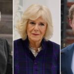 Queen Camilla Begs King Charles to Ditch Meeting With Prince Harry