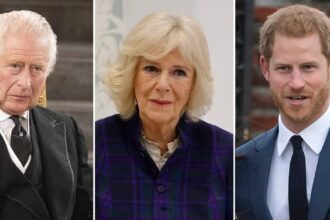 Queen Camilla Begs King Charles to Ditch Meeting With Prince Harry