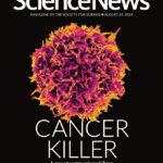 Cover of August 24, 2024 issue of Science News