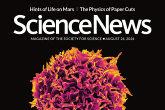 Cover of August 24, 2024 issue of Science News