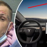 Serial car burglar, foiled by face tats and in-car cameras, gets 9-year sentence