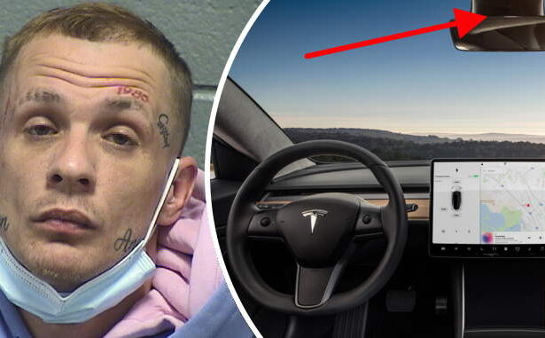 Serial car burglar, foiled by face tats and in-car cameras, gets 9-year sentence