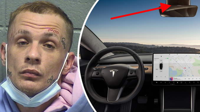 Serial car burglar, foiled by face tats and in-car cameras, gets 9-year sentence