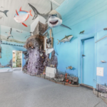 South Island post office for sale - complete with 12-foot shark