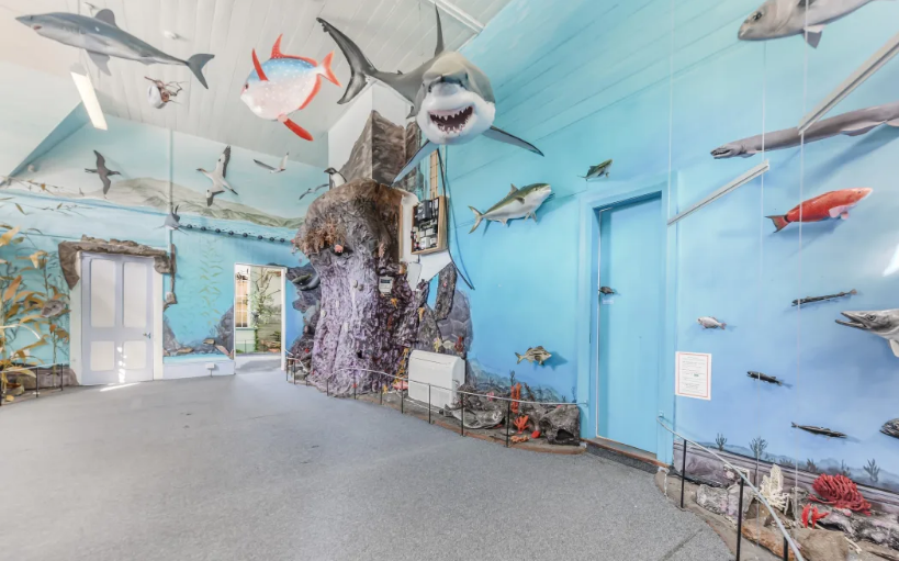 South Island post office for sale - complete with 12-foot shark