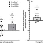 Study finds ground beef more effective than soy for muscle building