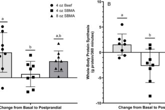 Study finds ground beef more effective than soy for muscle building