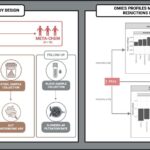 Study links PFAS exposure to kidney function decline via gut microbiome