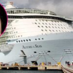 Taylor Swift Cruise Passenger, 66, Missing After Falling Overboard