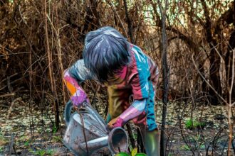 a cutout temporary artwork of a young child watering a sprouting plant, photographed in a burnt forest