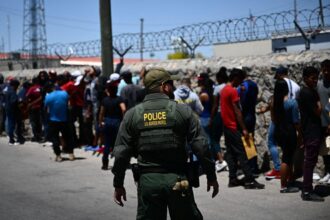 Thank Dems' border insanity for the US' 600K migrant criminals