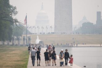 The Climate and the Health of our Children Is on the Ballot on November 5