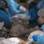 photo of women wearing blue protective gear on either side of the production line in a dimly lit turkey processing plant