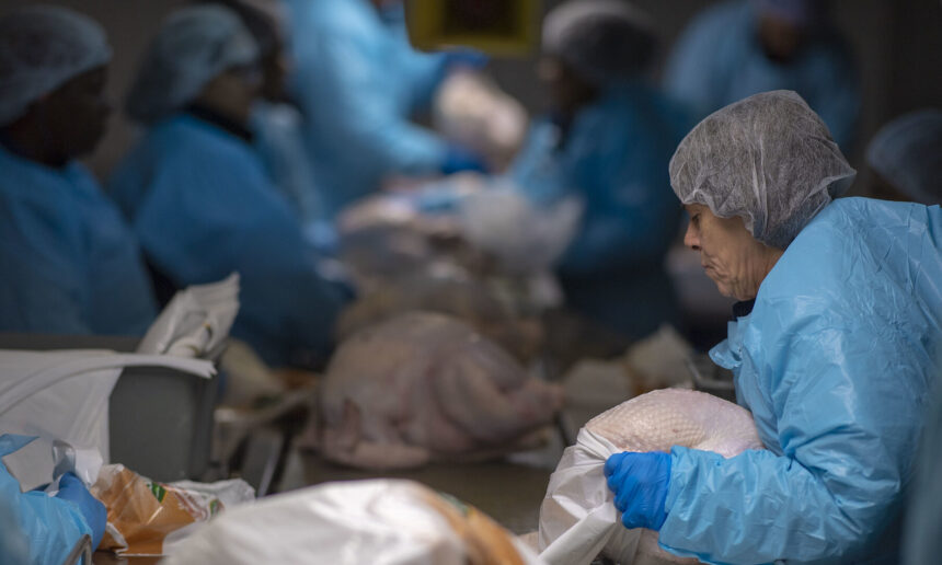 photo of women wearing blue protective gear on either side of the production line in a dimly lit turkey processing plant