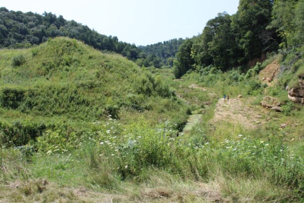 The fate of thousands of U.S. dams hangs in the balance, leaving rural communities with hard choices