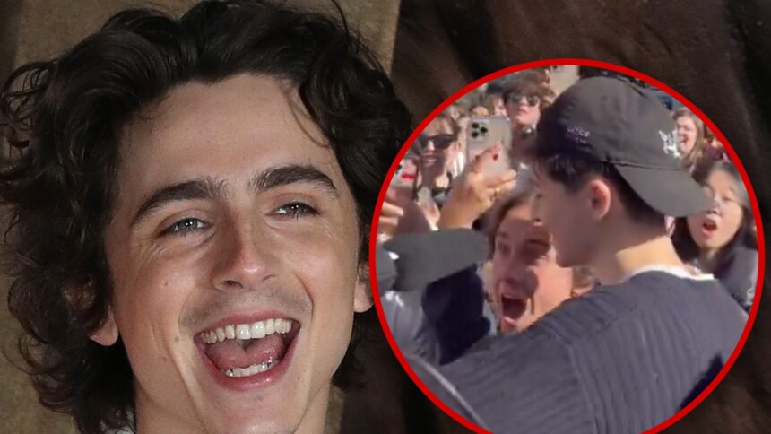 Timothée Chalamet Crashes Look-Alike Contest, Fans Go Wild