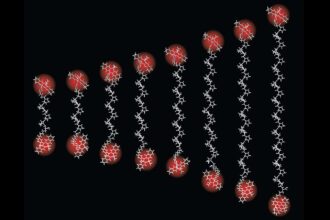 Tiniest 'ruler' ever measures distances as small as an atom's width