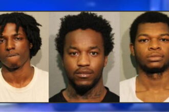 Trio charged with carjacking pot dealer in Logan Square