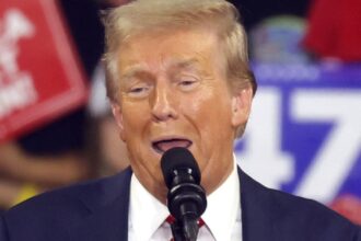 Trump Hilariously Self-Owns While Trying To Attack Kamala Harris