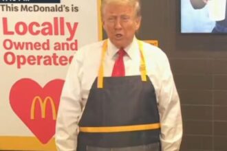 Trump pretends to work at McDonalds.