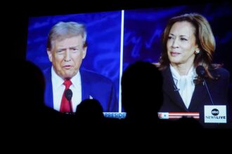 Trump or Harris? 2024 stakes for America's businesses