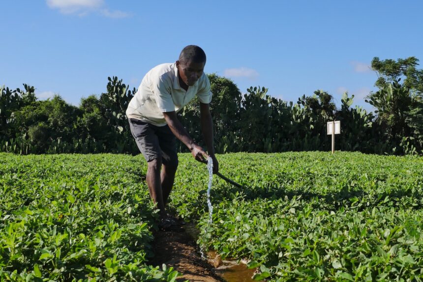 Water challenges — worsened by climate change — threaten the world's crops