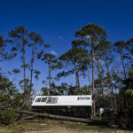 A mobile home is seen among trees after Hurricane Helene