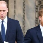 William and Harry Rocked by Mohamed Al Fayed Scandal