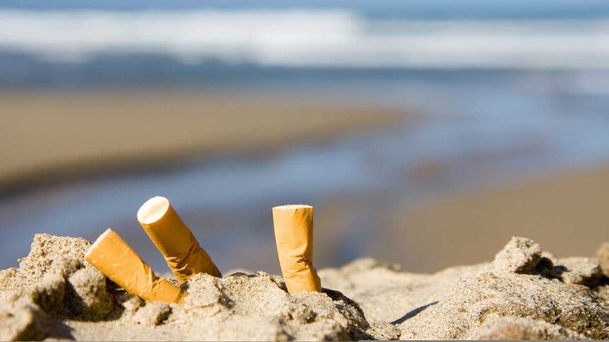 You Can Recycle Cigarette Butts!