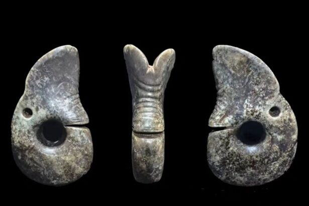 Archaeologists Discover Mysterious Jade Dragon Artifact at a 5,000-Year-Old Tomb in China