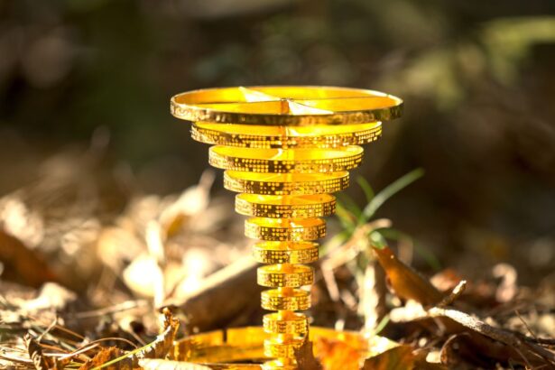 A Treasure Hunter Just Uncovered the 0,000 Prize Hidden in the Massachusetts Woods