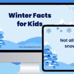 Winter facts feature