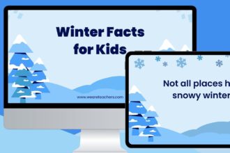 Winter facts feature