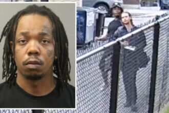 5-time felon gets 4½-years for brazen Bucktown robbery that quickly went viral (video)