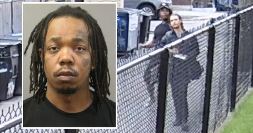 5-time felon gets 4½-years for brazen Bucktown robbery that quickly went viral (video)