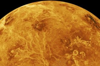 A Hidden Breed of Impact Craters Has Been Lurking on Venus Undetected : ScienceAlert