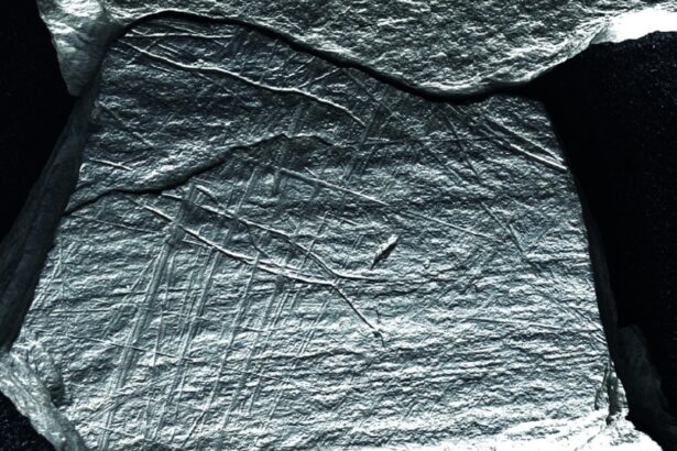 A digital exam reels in engraved scenes of Stone Age net fishing