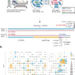 Antibiotic-resistant bacteria could pose major health threat across Asia