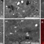 Asteroid Fragment Reveals Signs of Life, But It's Not What You Think : ScienceAlert