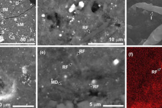 Asteroid Fragment Reveals Signs of Life, But It's Not What You Think : ScienceAlert