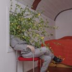 a man in a gray suit seated in a red chair is obscured by weeds bursting through a window